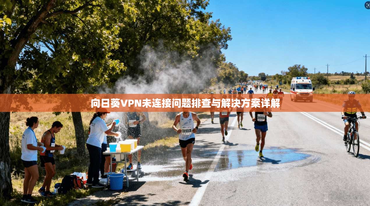 向日葵VPN未连接问题排查与解决方案详解