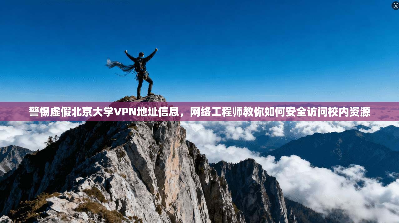 警惕虚假北京大学VPN地址信息，网络工程师教你如何安全访问校内资源
