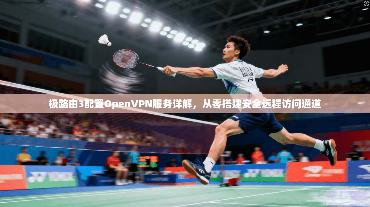 极路由3配置OpenVPN服务详解，从零搭建安全远程访问通道