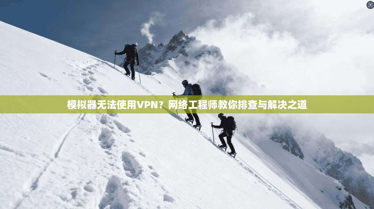 模拟器无法使用VPN？网络工程师教你排查与解决之道