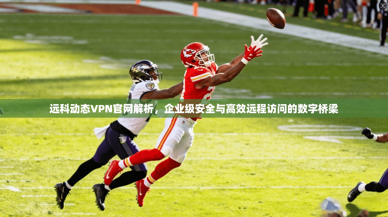 远科动态VPN官网解析，企业级安全与高效远程访问的数字桥梁
