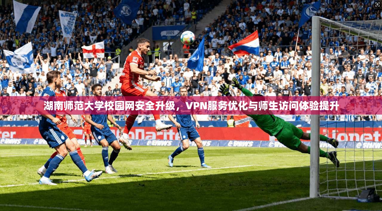 湖南师范大学校园网安全升级，VPN服务优化与师生访问体验提升