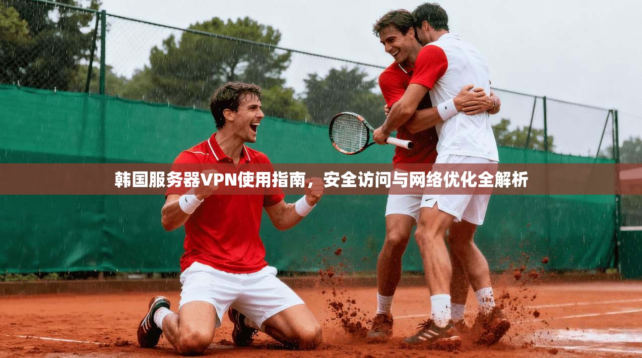 韩国服务器VPN使用指南，安全访问与网络优化全解析