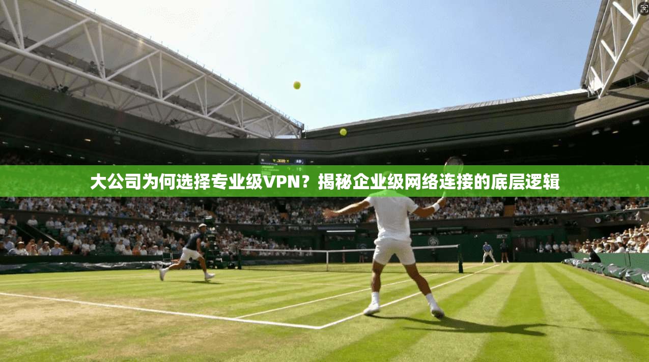 大公司为何选择专业级VPN？揭秘企业级网络连接的底层逻辑