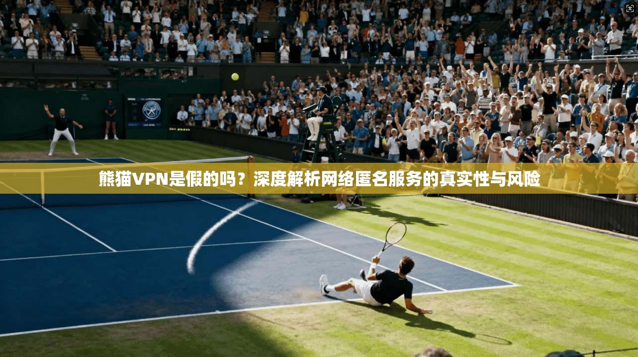 熊猫VPN是假的吗？深度解析网络匿名服务的真实性与风险
