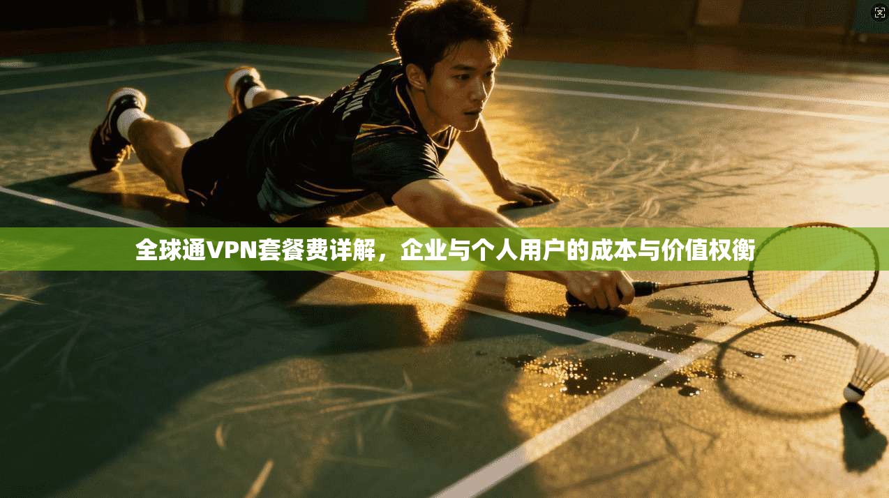全球通VPN套餐费详解，企业与个人用户的成本与价值权衡