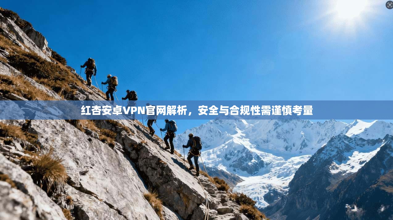 红杏安卓VPN官网解析，安全与合规性需谨慎考量