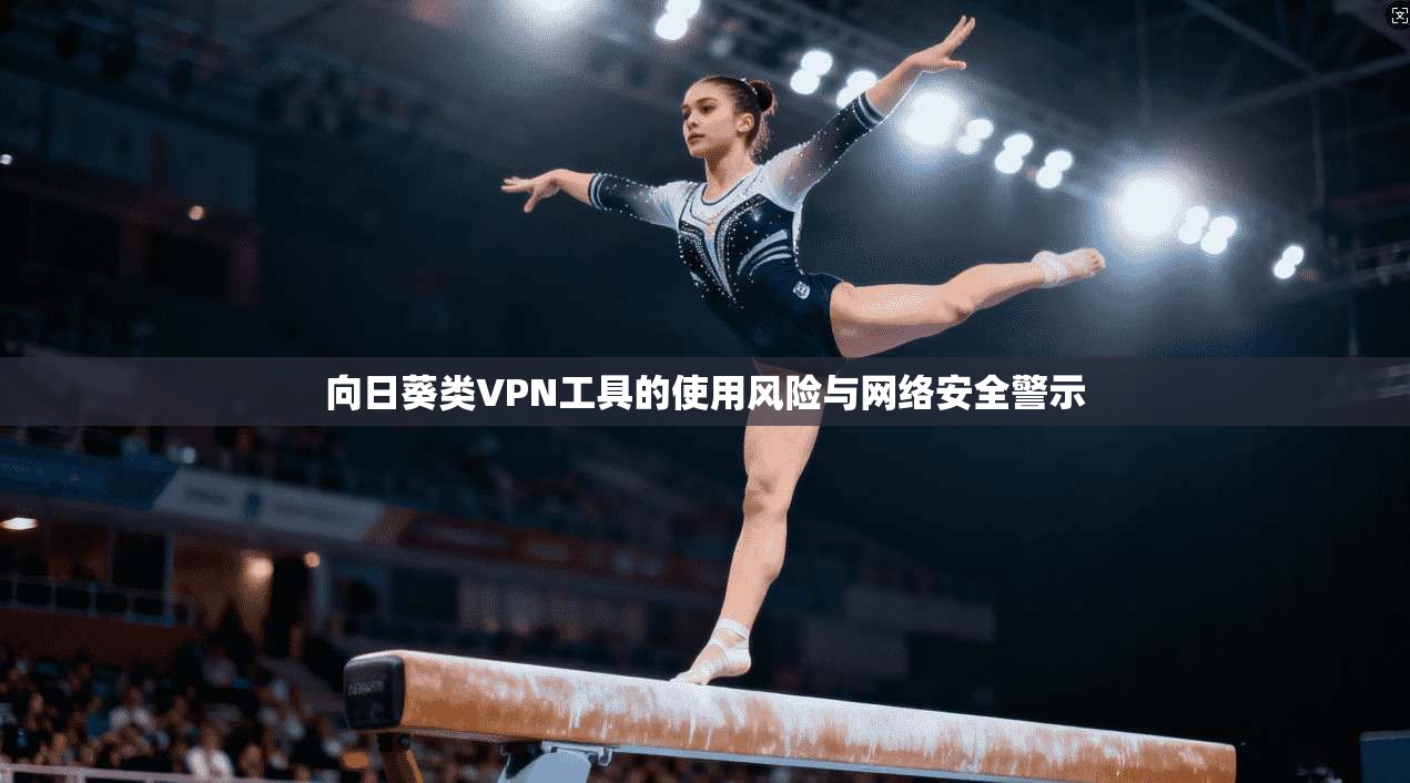 向日葵类VPN工具的使用风险与网络安全警示