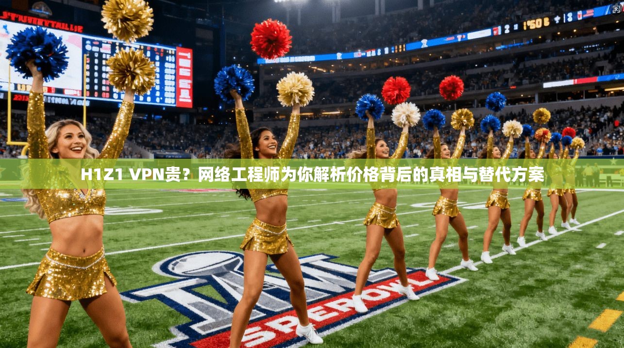 H1Z1 VPN贵？网络工程师为你解析价格背后的真相与替代方案