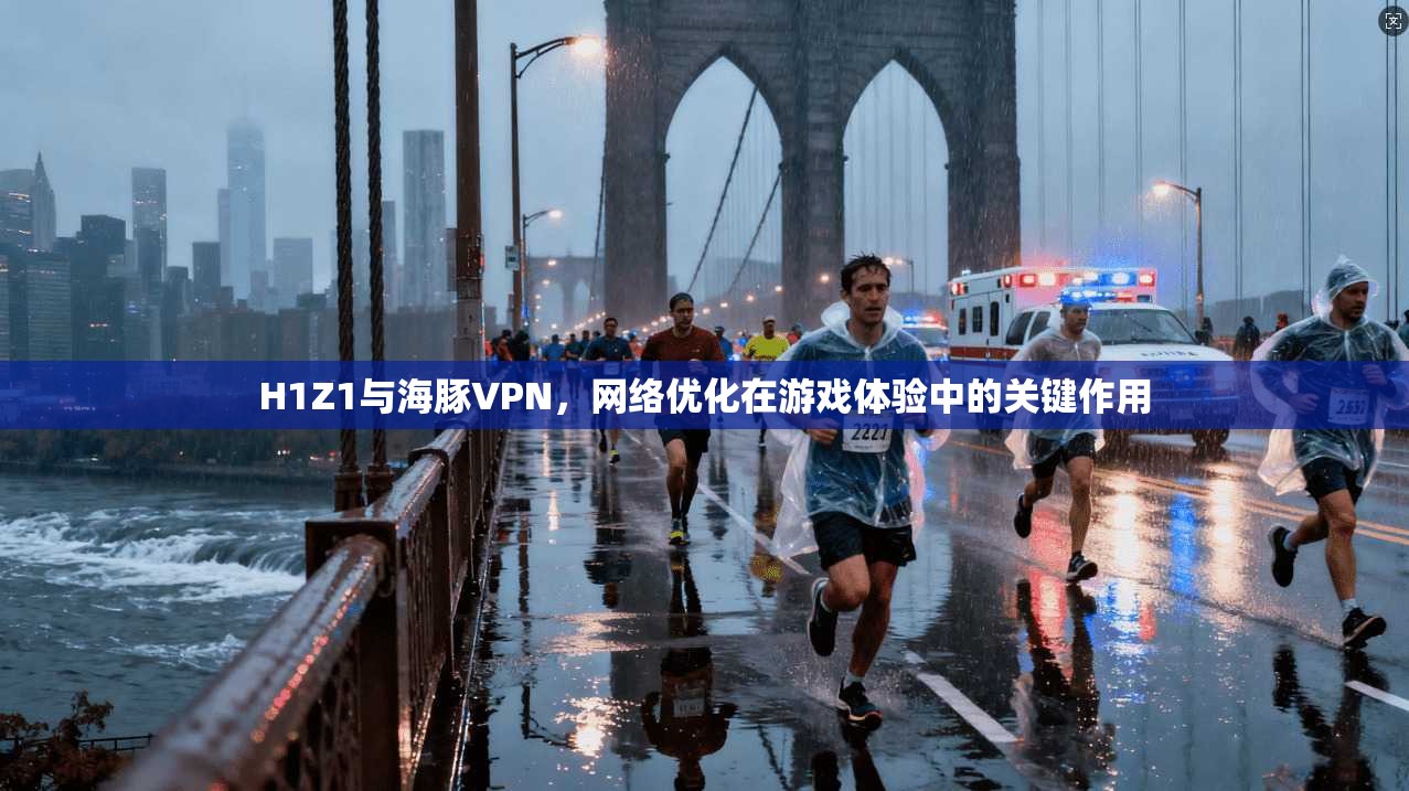 H1Z1与海豚VPN，网络优化在游戏体验中的关键作用