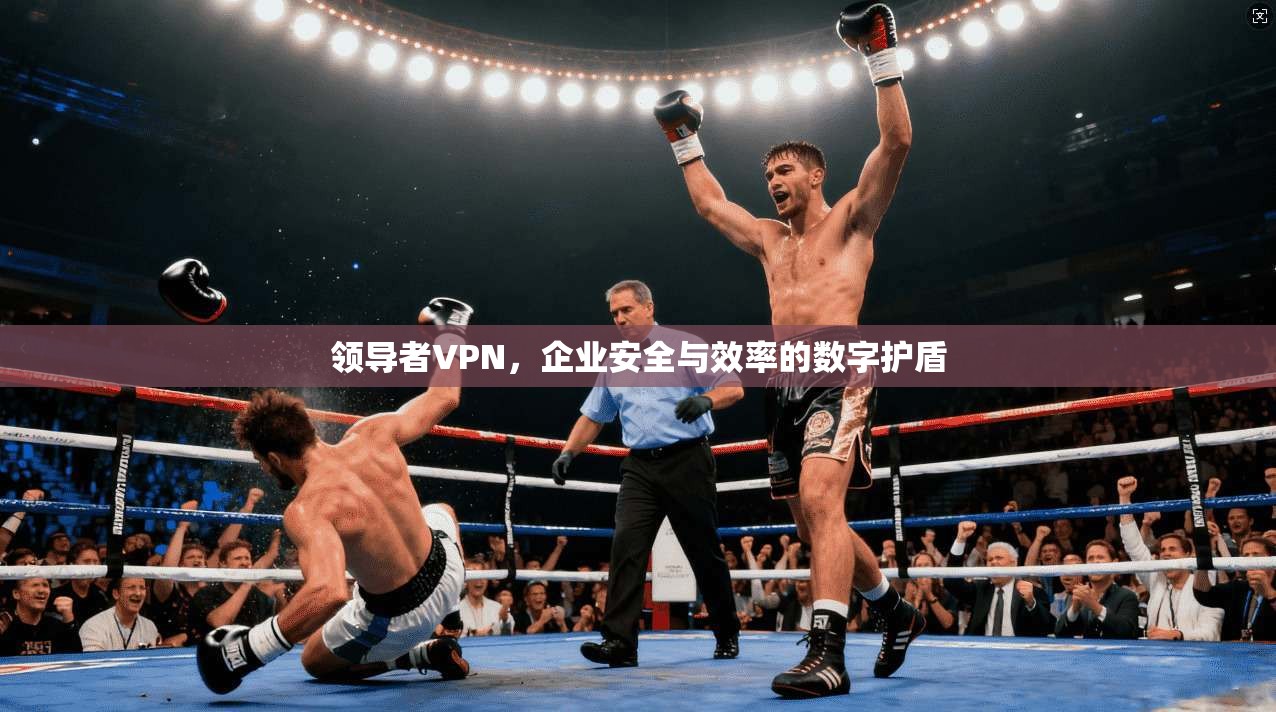 领导者VPN，企业安全与效率的数字护盾