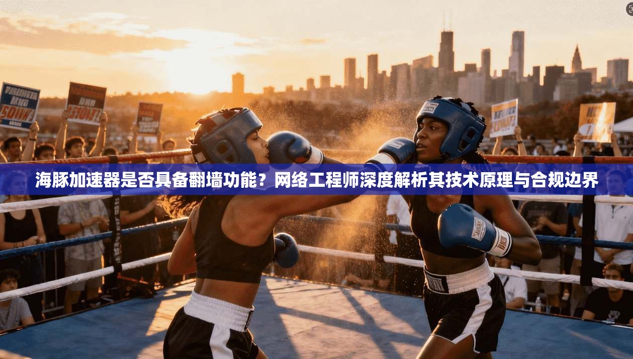 海豚加速器是否具备翻墙功能？网络工程师深度解析其技术原理与合规边界