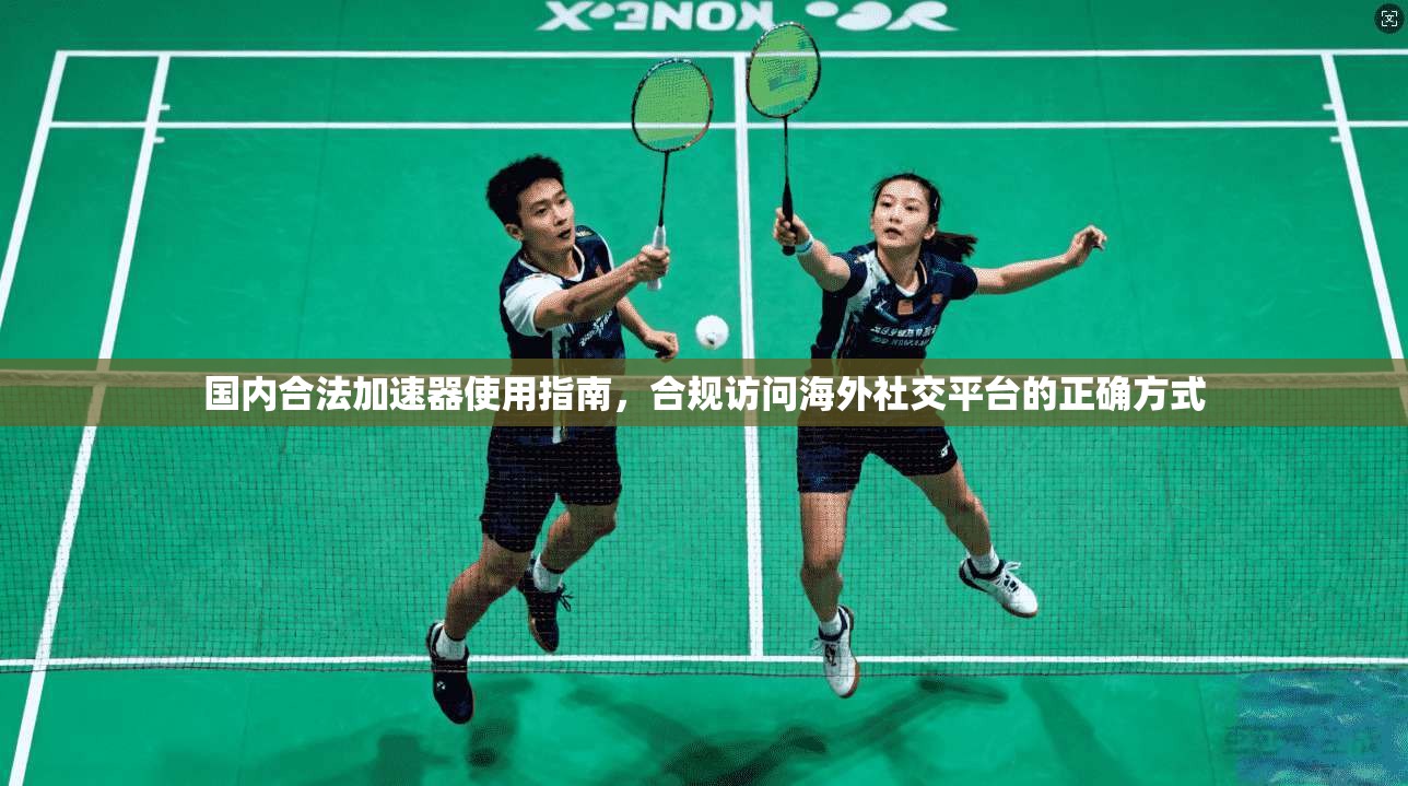国内合法加速器使用指南，合规访问海外社交平台的正确方式