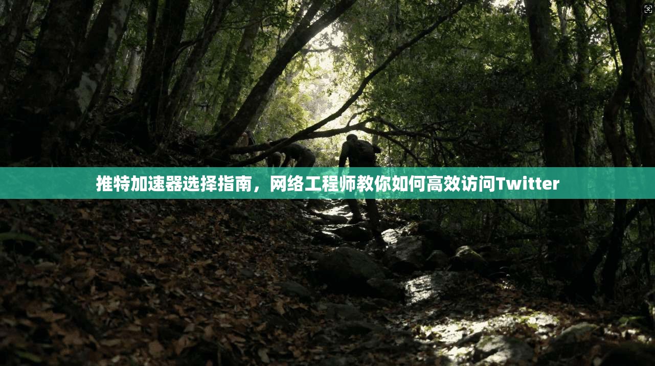 推特加速器选择指南，网络工程师教你如何高效访问Twitter