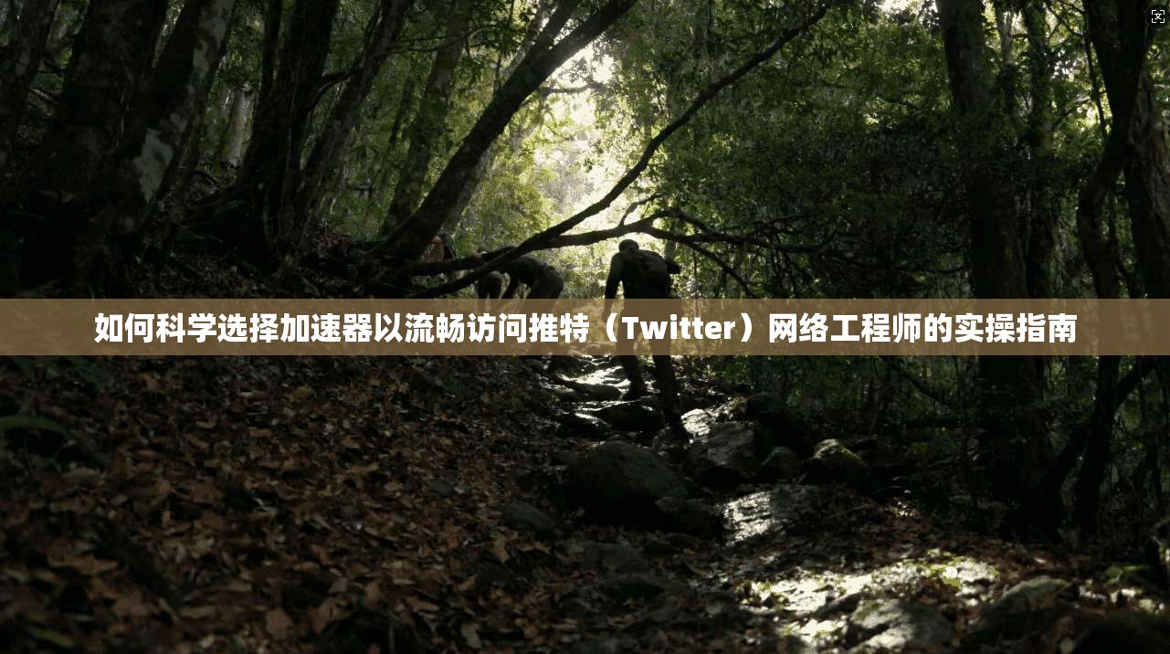 如何科学选择加速器以流畅访问推特（Twitter）网络工程师的实操指南