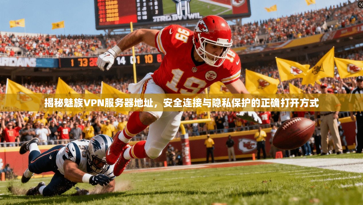 揭秘魅族VPN服务器地址，安全连接与隐私保护的正确打开方式