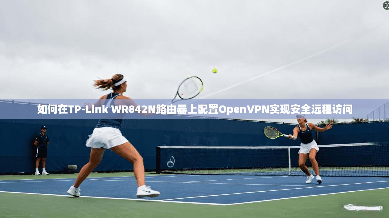 如何在TP-Link WR842N路由器上配置OpenVPN实现安全远程访问