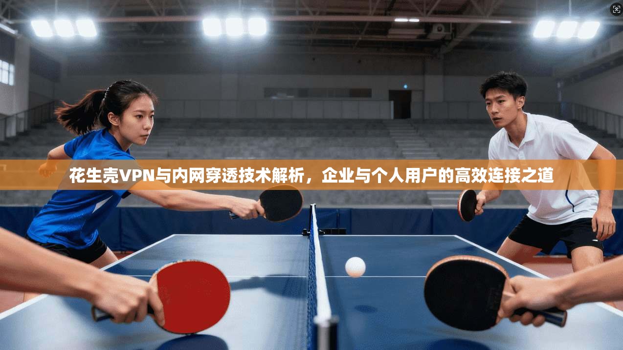 花生壳VPN与内网穿透技术解析，企业与个人用户的高效连接之道