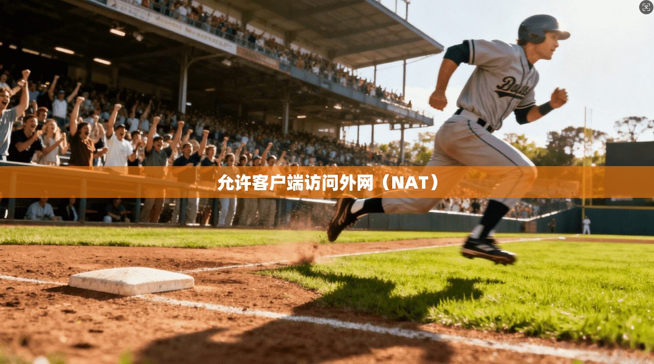 允许客户端访问外网（NAT）