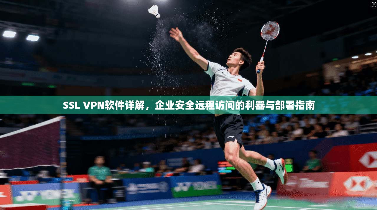 SSL VPN软件详解,企业安全远程访问的利器与部署指南 SSL VPN软件详解,企业安全远程访问的利器与部署指南