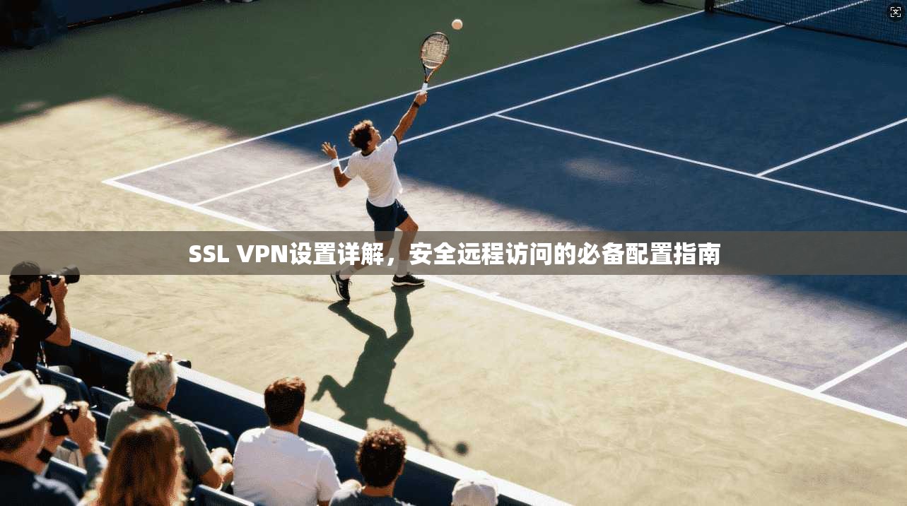 SSL VPN设置详解，安全远程访问的必备配置指南