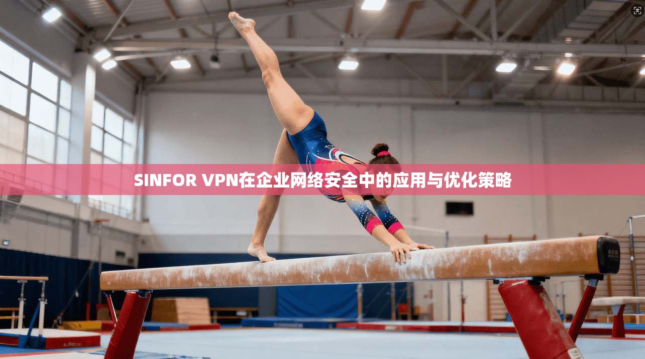 SINFOR VPN在企业网络安全中的应用与优化策略