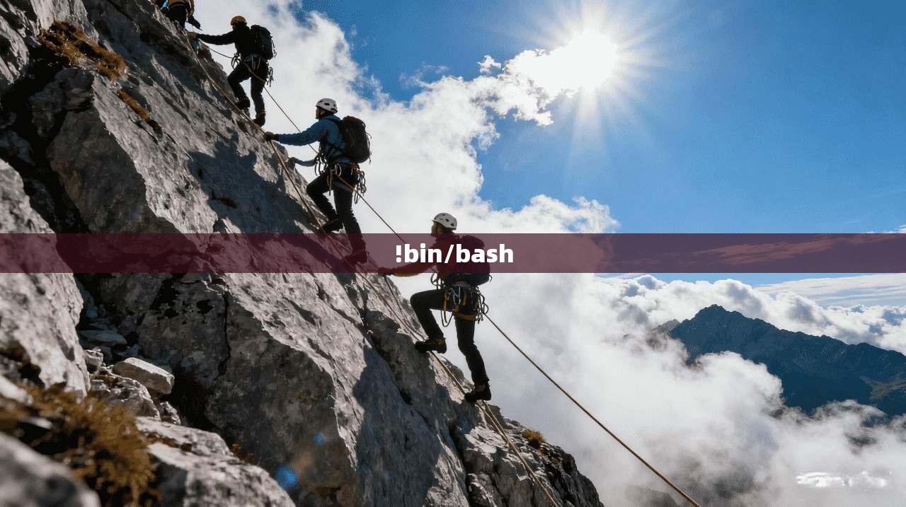 !bin/bash !bin/bash