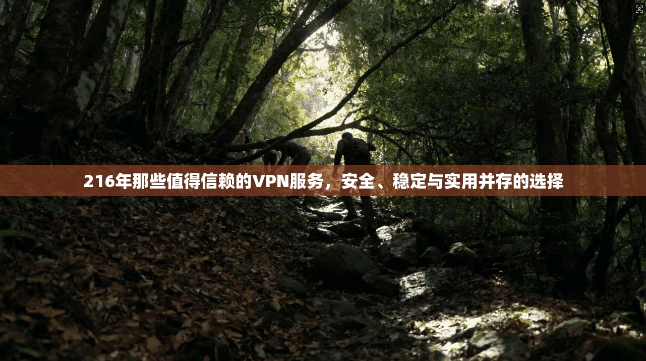 216年那些值得信赖的VPN服务，安全、稳定与实用并存的选择
