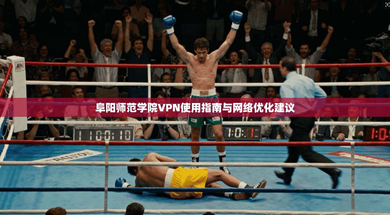 阜阳师范学院VPN使用指南与网络优化建议