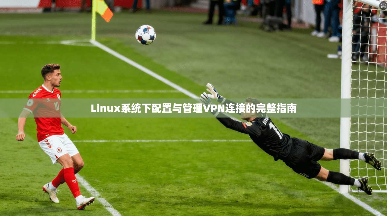 Linux系统下配置与管理VPN连接的完整指南
