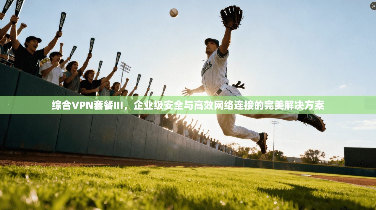 综合VPN套餐III，企业级安全与高效网络连接的完美解决方案