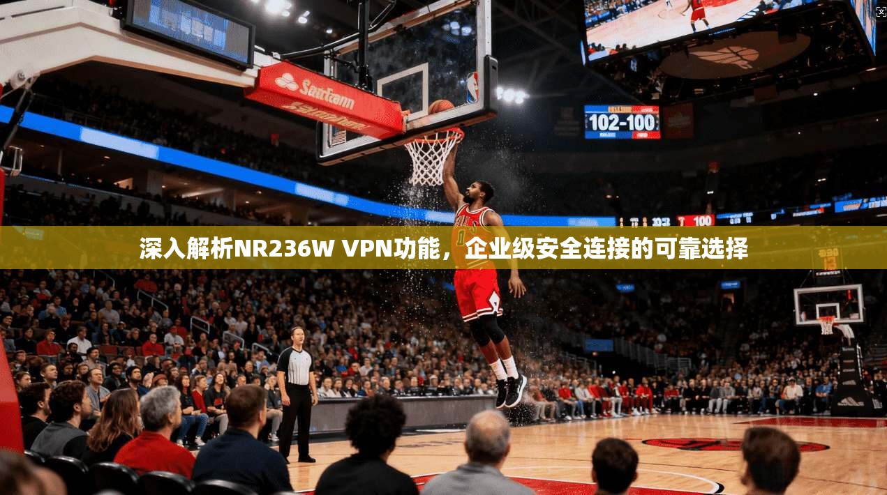 深入解析NR236W VPN功能，企业级安全连接的可靠选择