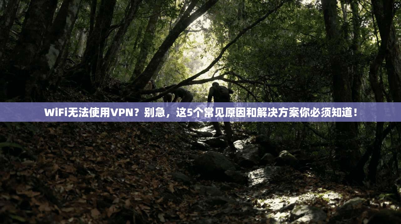 WiFi无法使用VPN？别急，这5个常见原因和解决方案你必须知道！