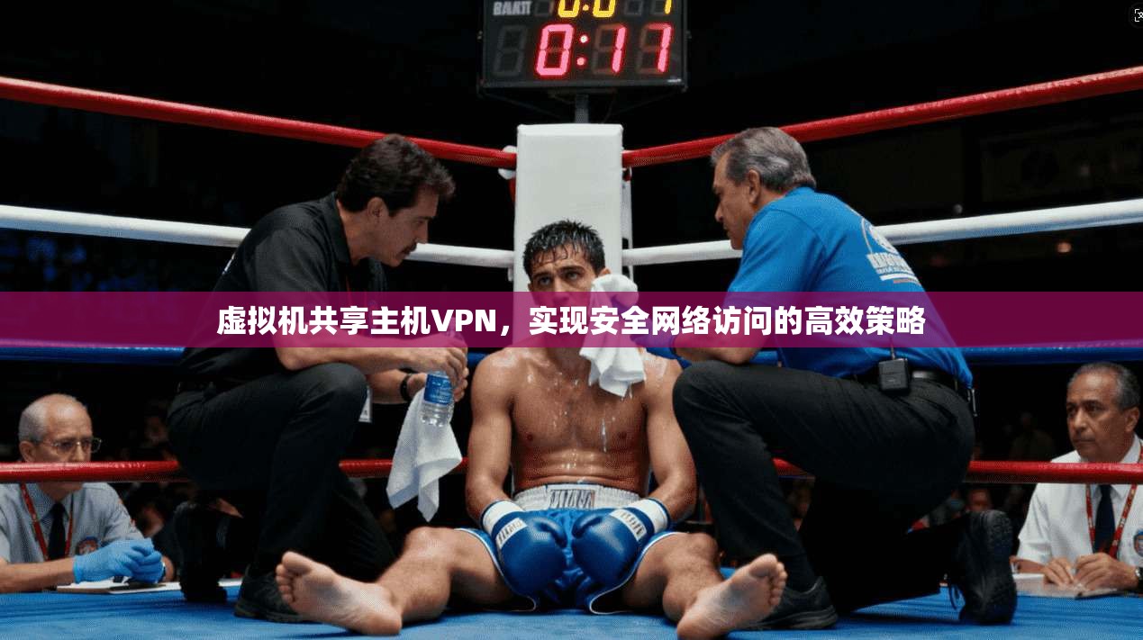 虚拟机共享主机VPN，实现安全网络访问的高效策略