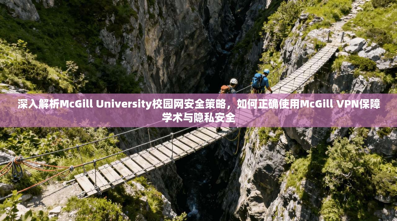 深入解析McGill University校园网安全策略，如何正确使用McGill VPN保障学术与隐私安全