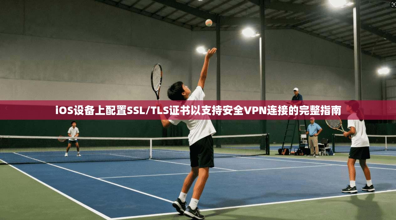 iOS设备上配置SSL/TLS证书以支持安全VPN连接的完整指南