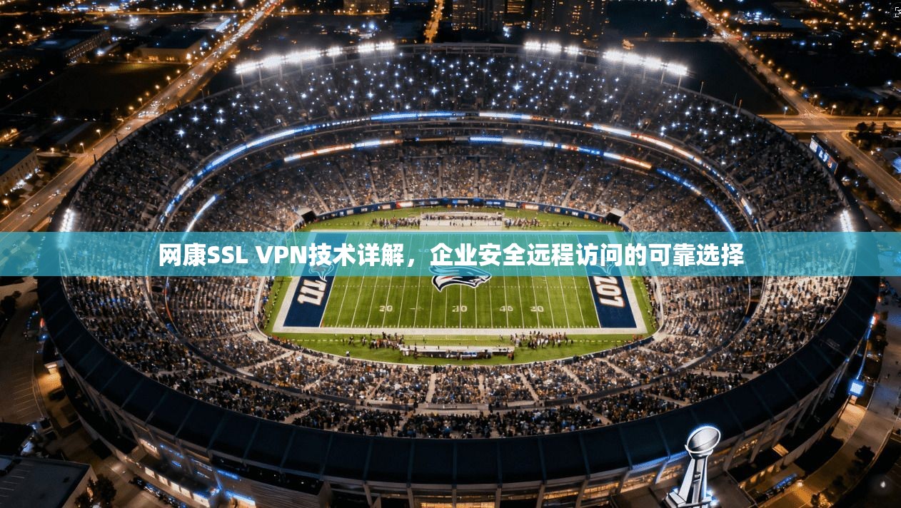 网康SSL VPN技术详解，企业安全远程访问的可靠选择