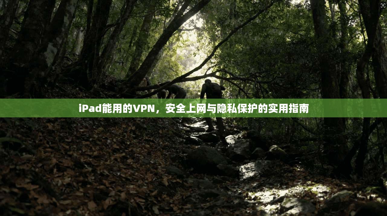 iPad能用的VPN，安全上网与隐私保护的实用指南