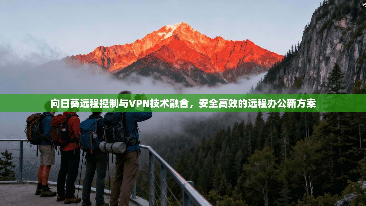 向日葵远程控制与VPN技术融合，安全高效的远程办公新方案