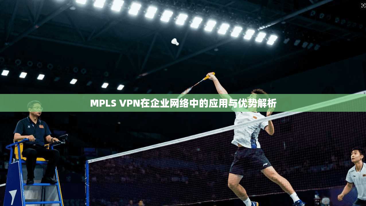 MPLS VPN在企业网络中的应用与优势解析