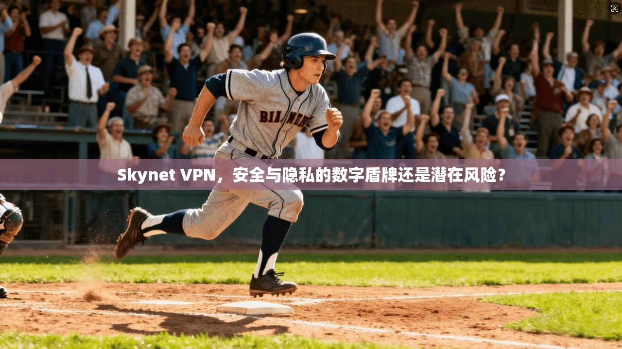 Skynet VPN，安全与隐私的数字盾牌还是潜在风险？