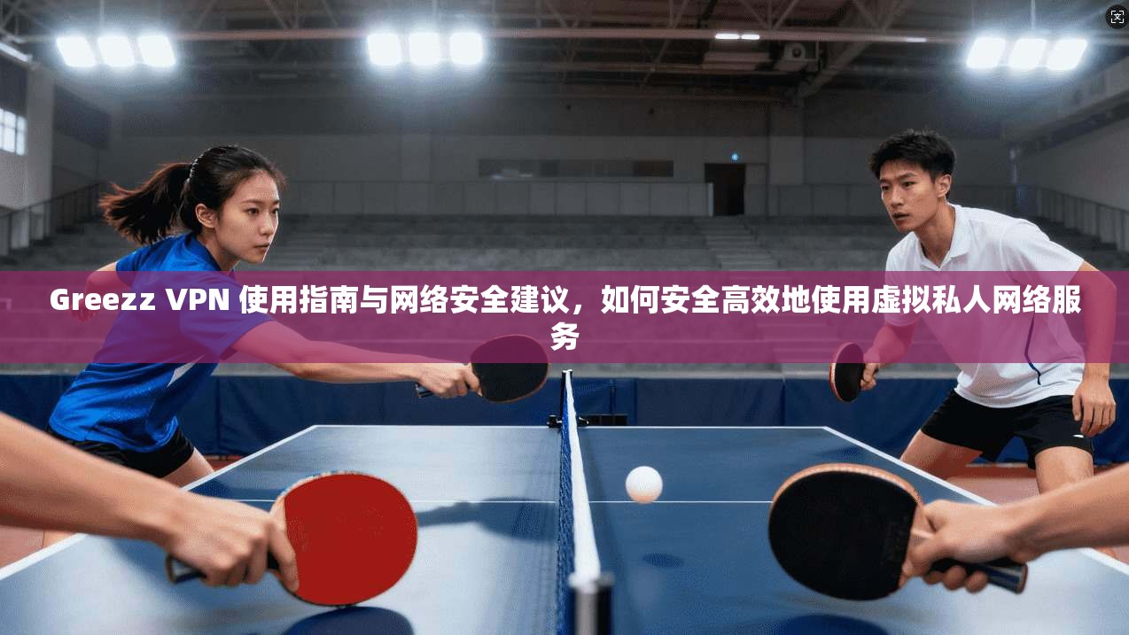 Greezz VPN 使用指南与网络安全建议，如何安全高效地使用虚拟私人网络服务