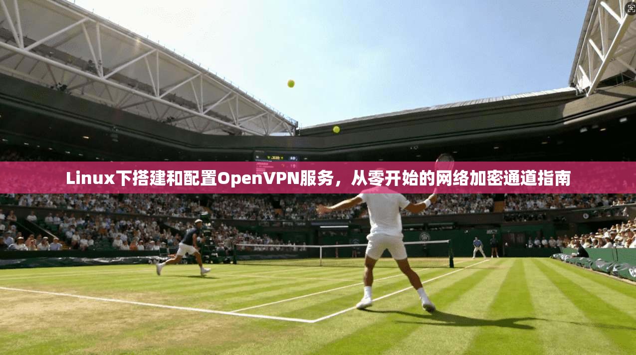 Linux下搭建和配置OpenVPN服务，从零开始的网络加密通道指南