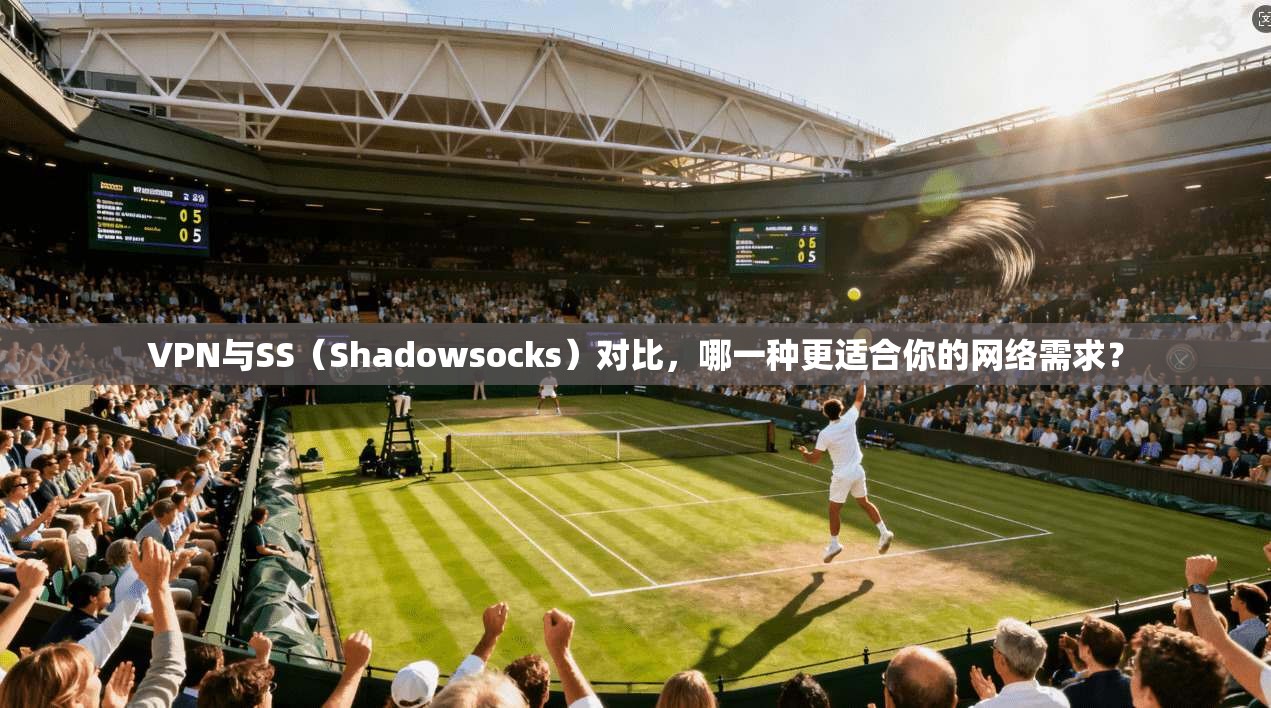 VPN与SS（Shadowsocks）对比，哪一种更适合你的网络需求？