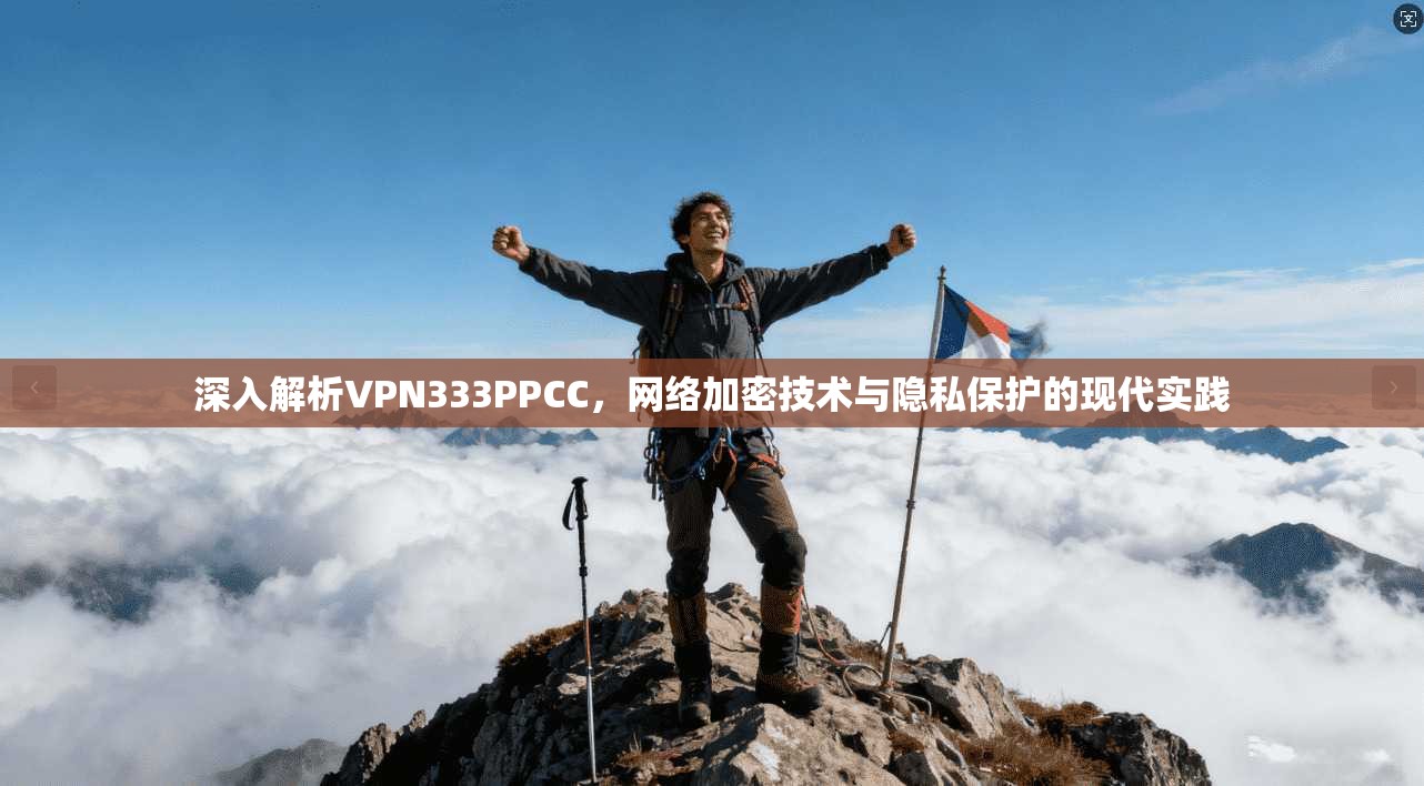 深入解析VPN333PPCC，网络加密技术与隐私保护的现代实践