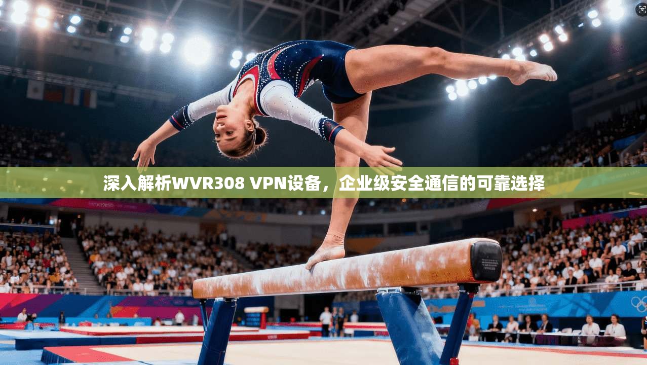 深入解析WVR308 VPN设备，企业级安全通信的可靠选择