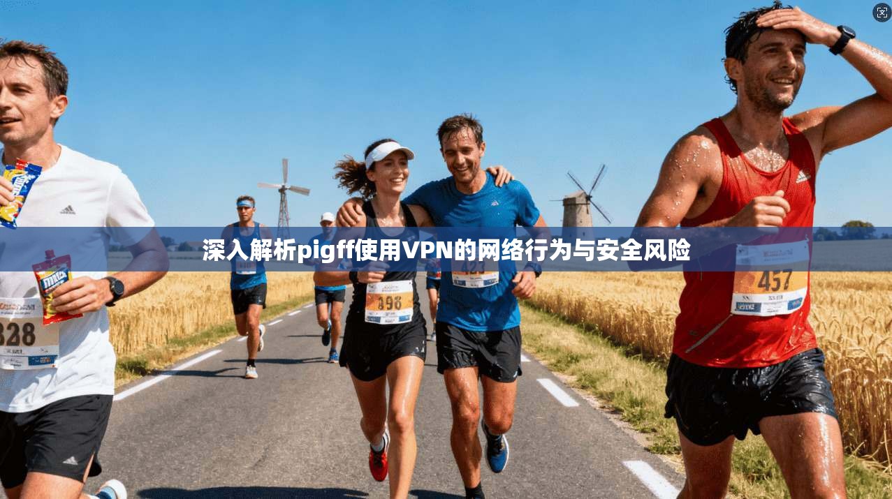 深入解析pigff使用VPN的网络行为与安全风险