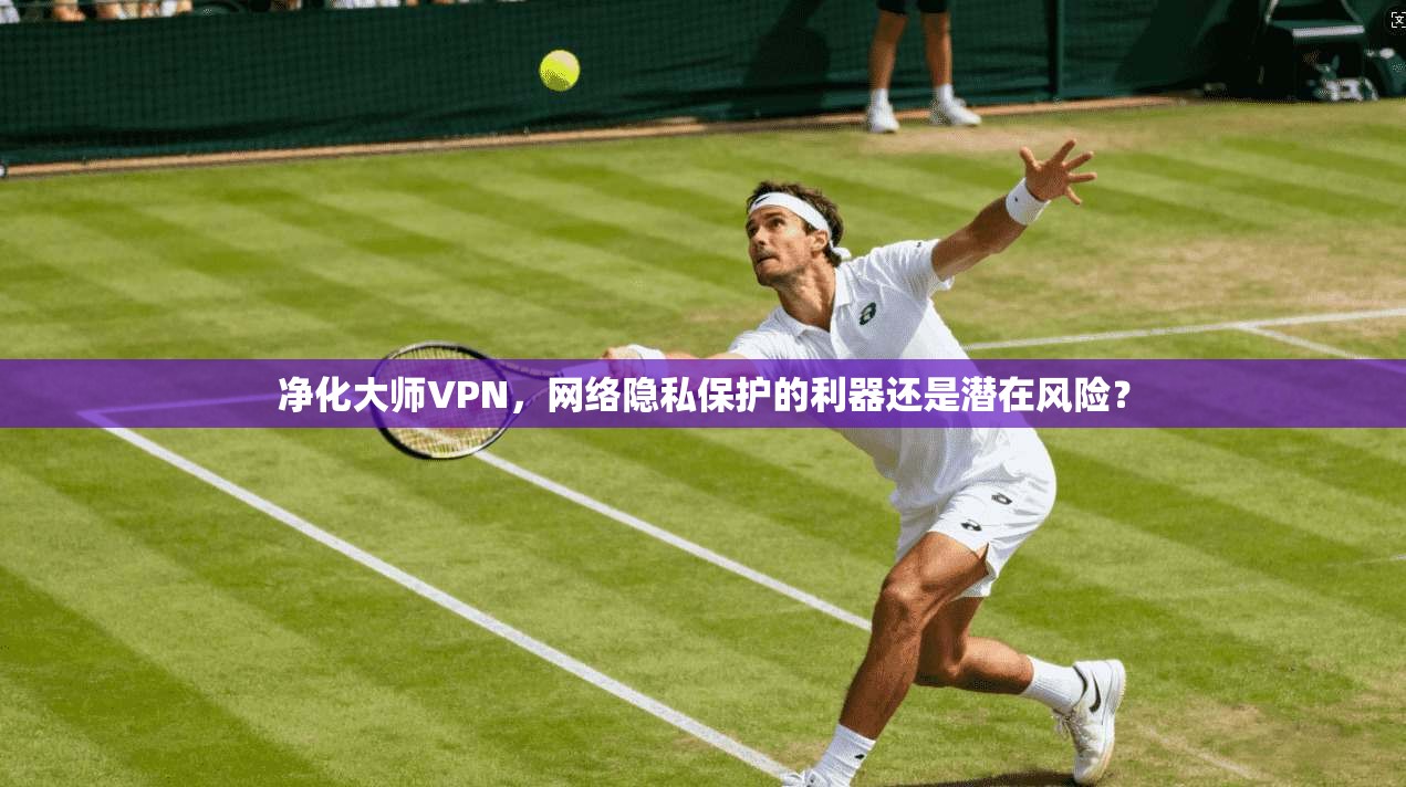 净化大师VPN，网络隐私保护的利器还是潜在风险？
