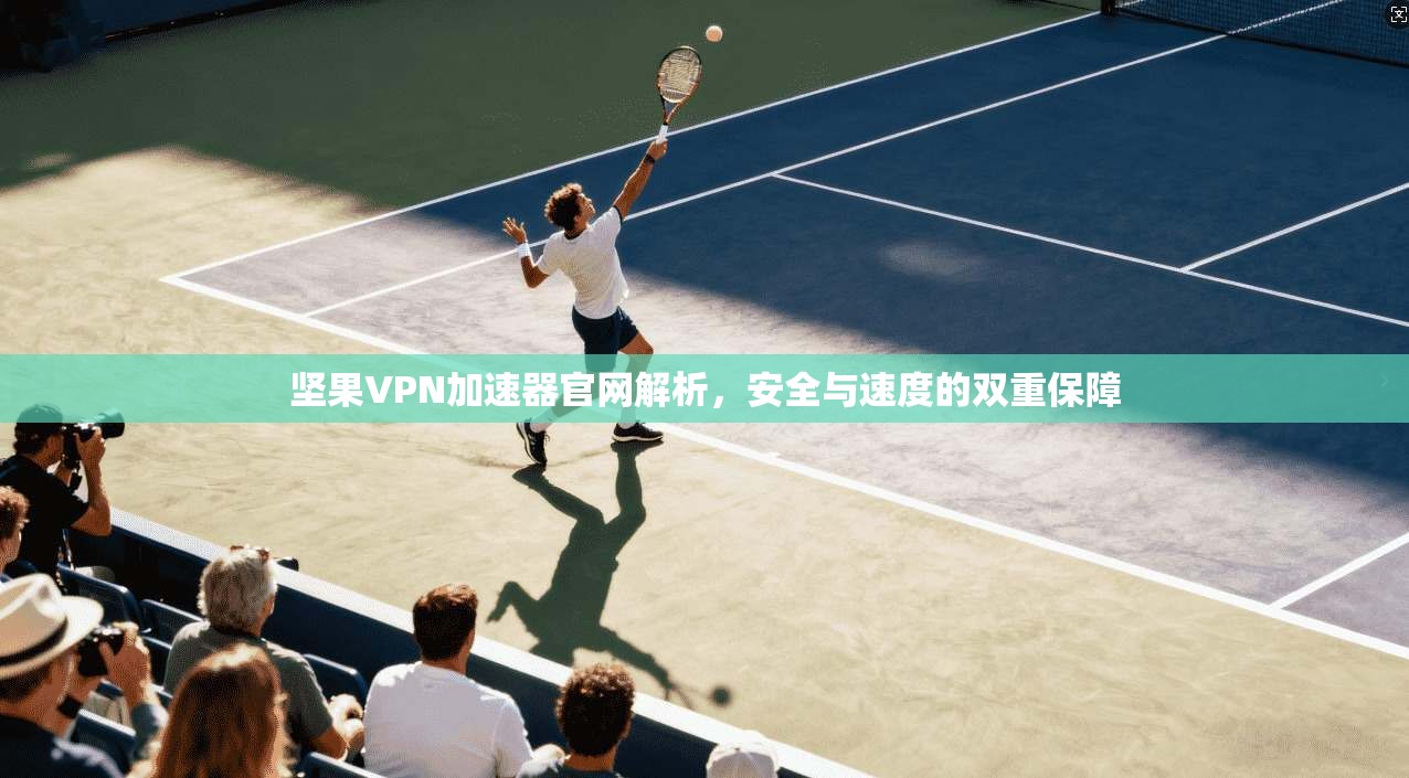 坚果VPN加速器官网解析，安全与速度的双重保障