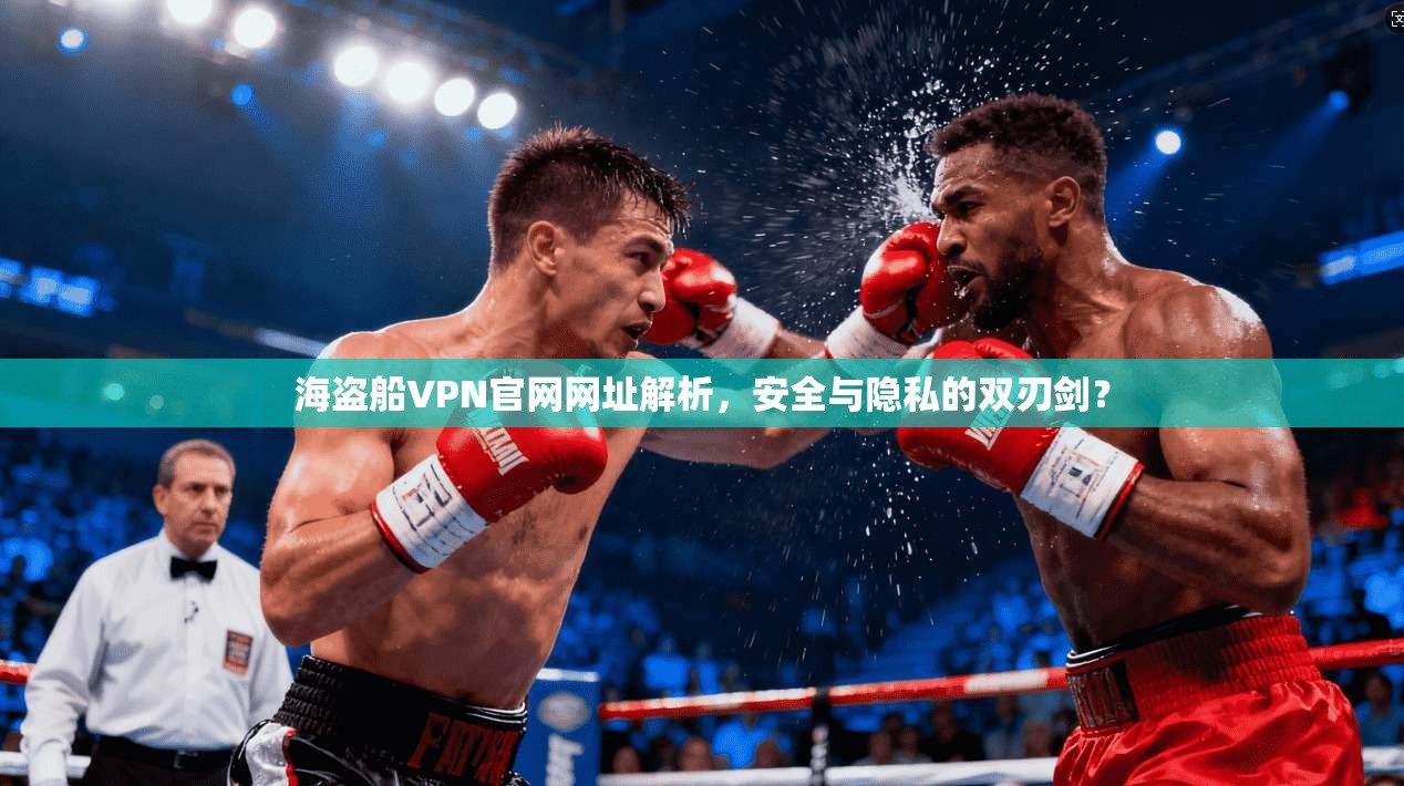 海盗船VPN官网网址解析，安全与隐私的双刃剑？